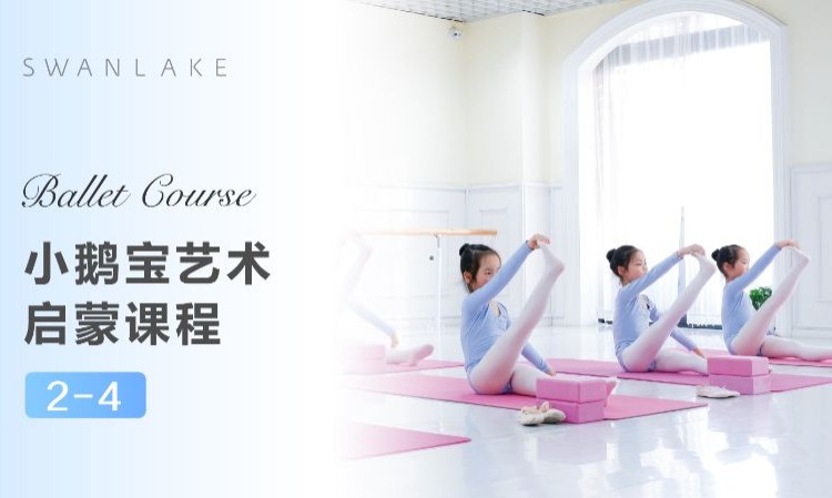杭州少儿芭蕾舞培训费用